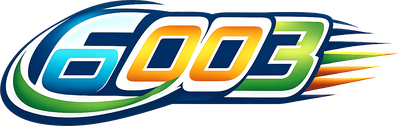 6003